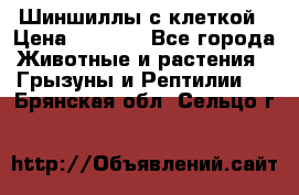 Шиншиллы с клеткой › Цена ­ 8 000 - Все города Животные и растения » Грызуны и Рептилии   . Брянская обл.,Сельцо г.